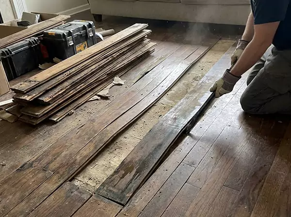 Water Damage Drying in North Metro