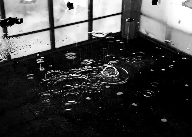 Your Contaminated Water Removal Specialists in North Metro, GA