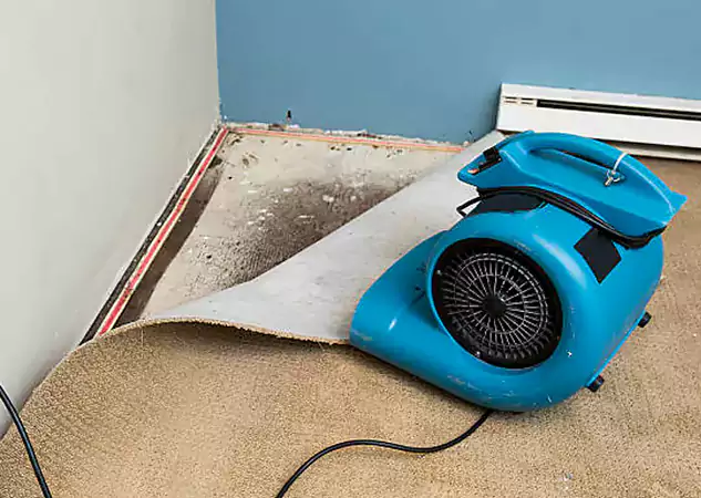 Your Water Damage Experts in North Metro, GA