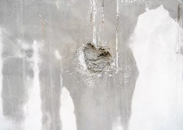 Your Mold Mitigation Solutions Partner in North Metro, GA