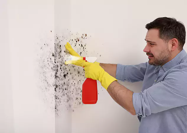 Your Water Mold Fire Restoration Partner in North Metro, GA