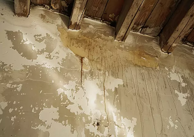 Your Trusted Restoration Company in North Metro, GA