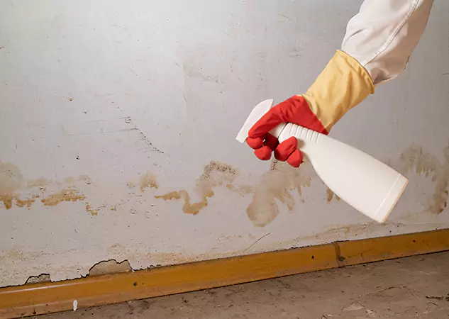 Your Water Restoration and Mold Remediation Specialists in North Metro, GA