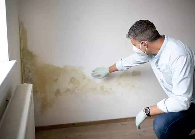 Reach Our Remediation Team Before Damage Grows in North Metro, GA!