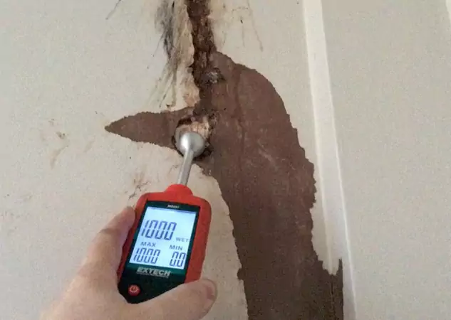 Your Water Damage Assessment Partner in North Metro, GA
