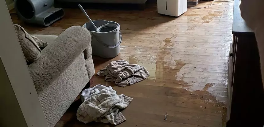 Professional Basement Water Remediation Services in North Metro, GA