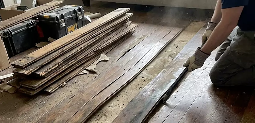 Wood Rot and Fungus Repair in North Metro