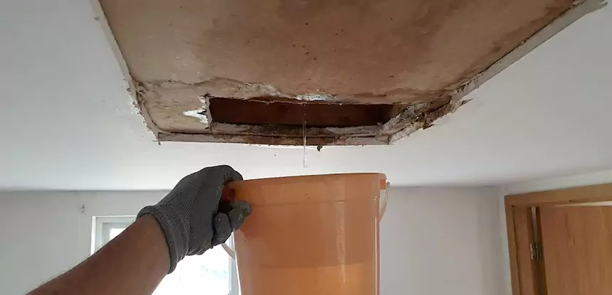 Ceiling Mold Repair North Metro 