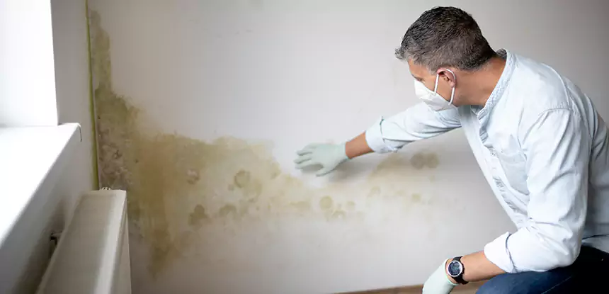 Mold and Water Damage Repair in North Metro