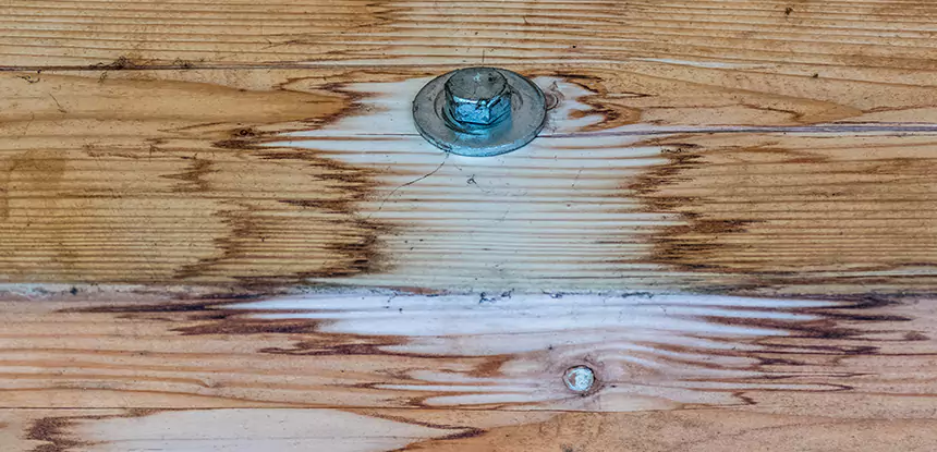 Fixing Water Marks on Wood in North Metro