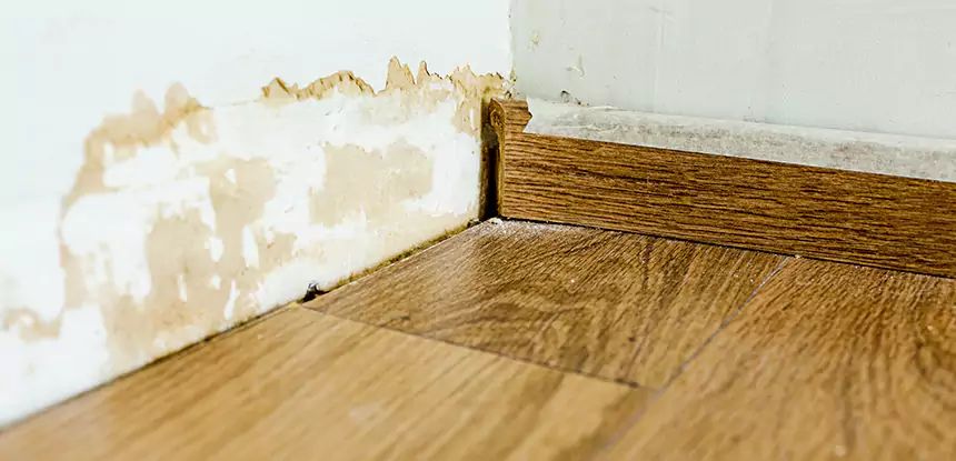 Professional Fix Water Damaged Wood Services in North Metro, GA