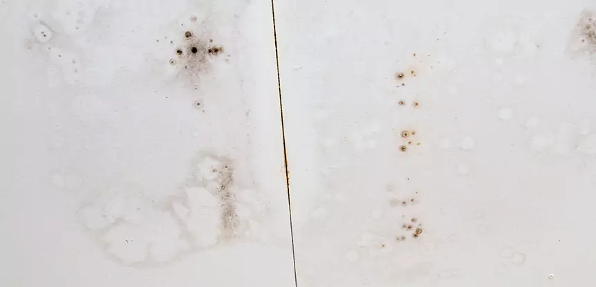 Professional Water Stain Repair Services in North Metro, GA