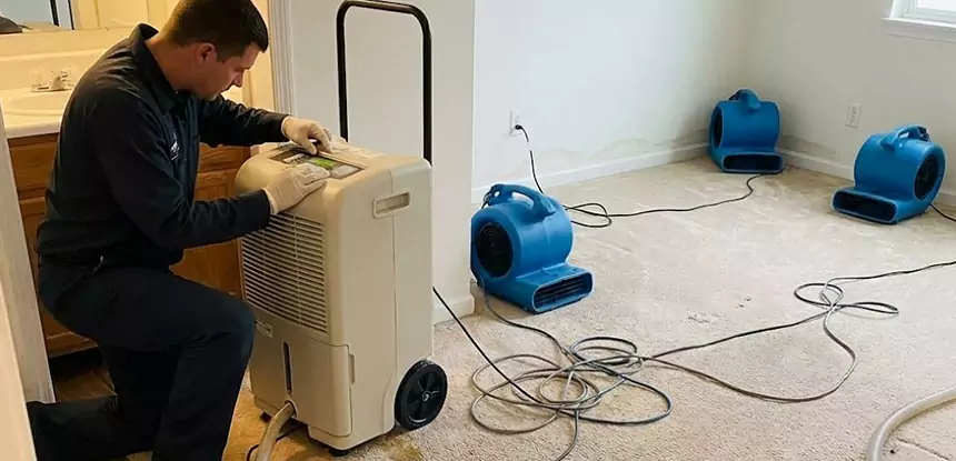 Professional Wet Carpet Removal Services in North Metro, GA