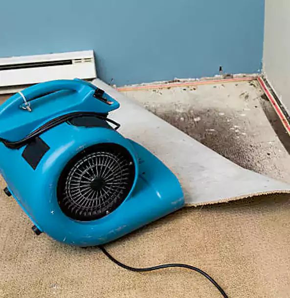 Why North Metro Trusts North Metro Restoration Pro for Carpet Flood Recovery?