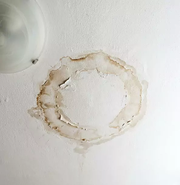 Why North Metro Property Owners Choose North Metro Restoration Pro for Ceiling Water Damage Restoration?