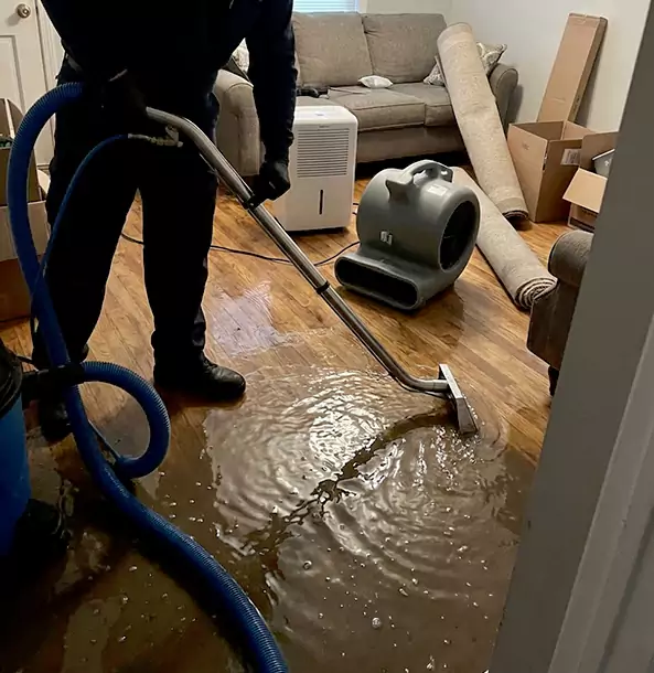 Why North Metro Trusts North Metro Restoration Pro for Flood Cleanup?