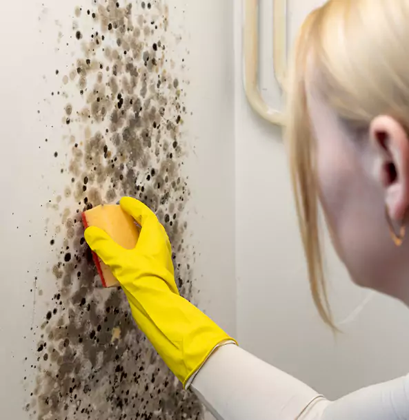 Why North Metro Restoration Pro Leads Mold Remediation in North Metro?