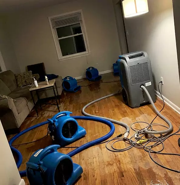 Why North Metro Property Owners Rely on North Metro Restoration Pro for Remediation?