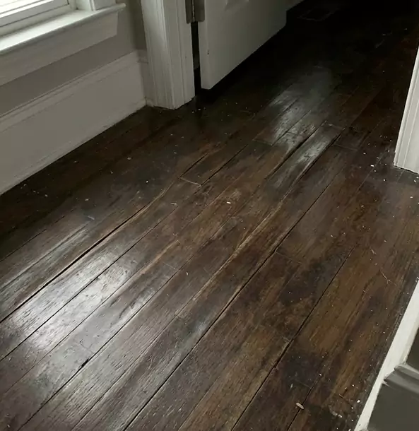 Why North Metro Homeowners Trust North Metro Restoration Pro to Fix Water Damaged Wood?