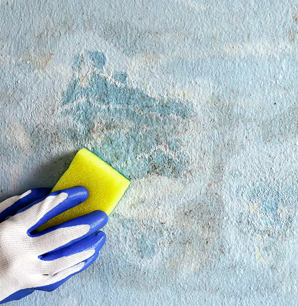 Why North Metro Restoration Pro Is the Right Choice in North Metro, GA?