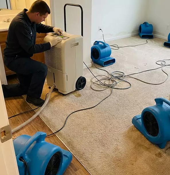 Why North Metro Homeowners and Businesses Trust North Metro Restoration Pro for Carpet Drying?
