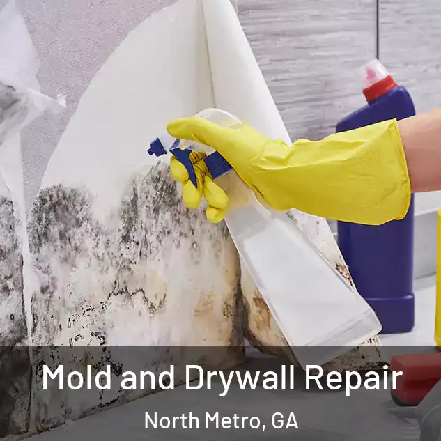  Mold and Drywall Repair North Metro, GA