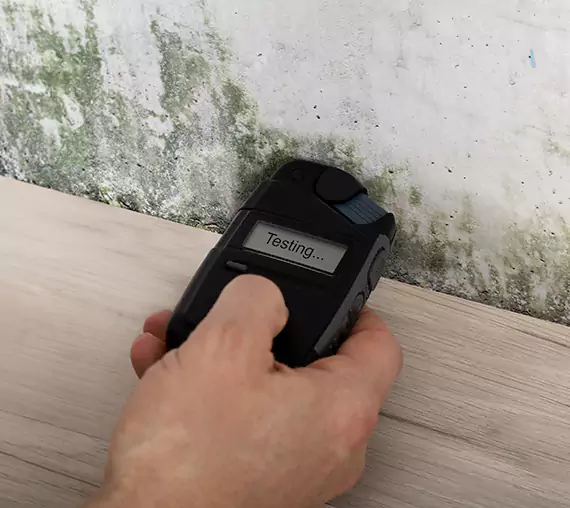 Mold Remediation Service North Metro
