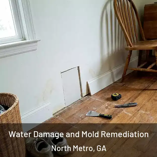  Water Damage and Mold Remediation North Metro, GA