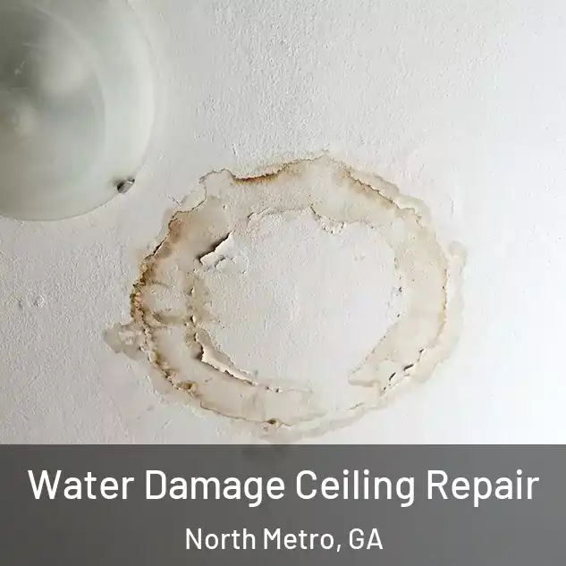  Water Damage Ceiling Repair North Metro, GA