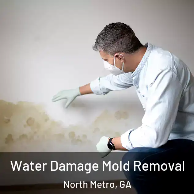  Water Damage Mold Removal North Metro, GA